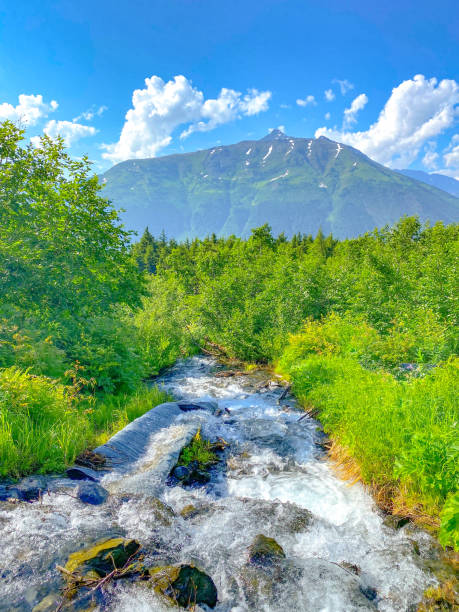 During the summer months the Chugach mountains shed their snow and bring forth the colors of Summer. Many will enjoy hiking the ski trails as the summer growth continues. The Spring runoff causes a beautiful scene to play out, it also cause hiker to be aware of their surroundings and danger.
