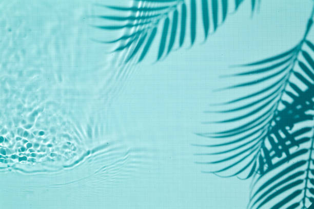istock Shadow of a palm tree on a Blue water background 1404989758