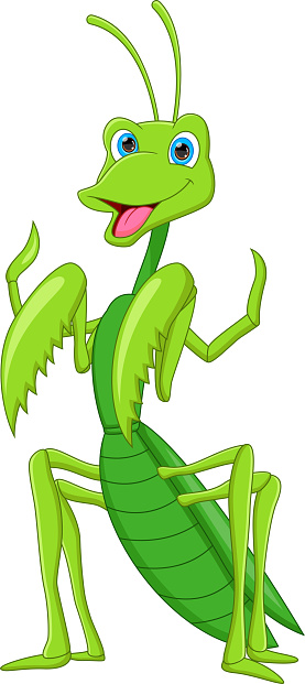 Free download of Cartoon Cricket clip art Vector Graphic Free download of Cartoon Cricket clip art Vector Graphic