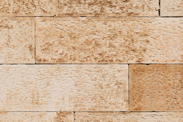 Close-up on a sandstone wall.