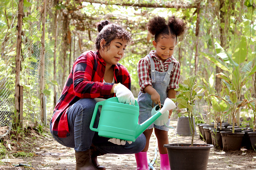 Happy farmer family work together in agriculture or farming, mother gardener and African daughter girl with black curly hair watering plant, child education of nature and plant growing learn activity