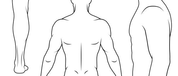 ilustrações de stock, clip art, desenhos animados e ícones de vector outline illustration male body. parts of body for tattoo example. - arm tattoo