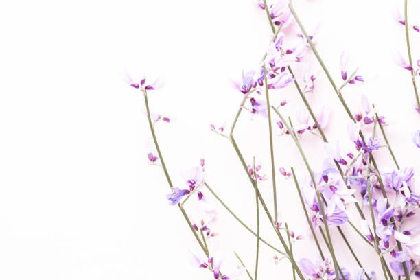 istock Flowers composition. Pink flowers on pink background. Easter, spring concept. Greeting card. 1405007969