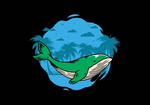istock The big whale of ocean illustration 1405008066