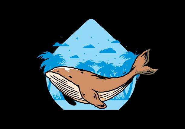 istock The big whale of ocean illustration 1405008155