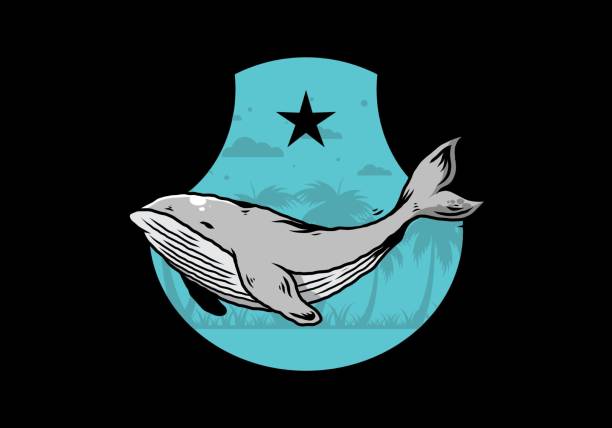 istock The big whale of ocean illustration 1405008273