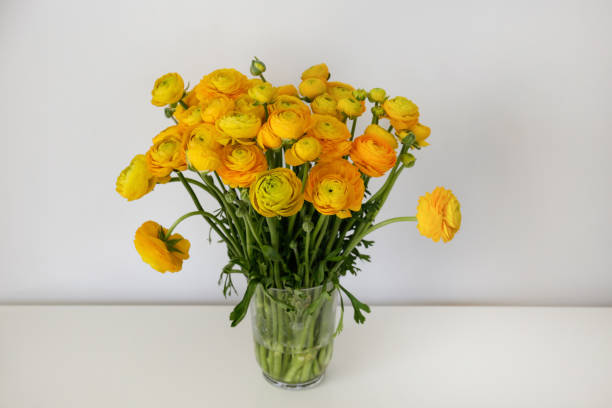 istock Bouquet of persian buttercup 1405008610