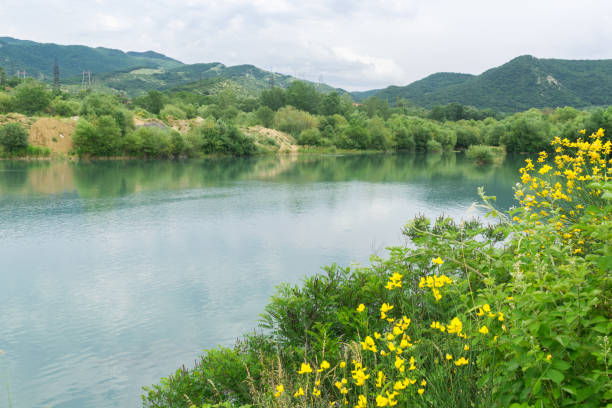 blue clear river in the mountains in summer blue clear quiet river in the mountains in summer summer flower lake awe stock pictures, royalty-free photos & images