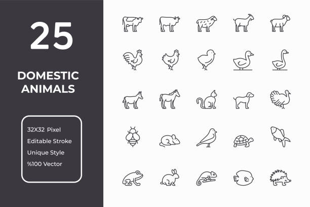 Pets Line Icons Domestic Animals Editable Stroke Line Icons. Perfect Pixel, 32x32 pixel grid, customizable colors unique style vector icons. animal stock illustrations