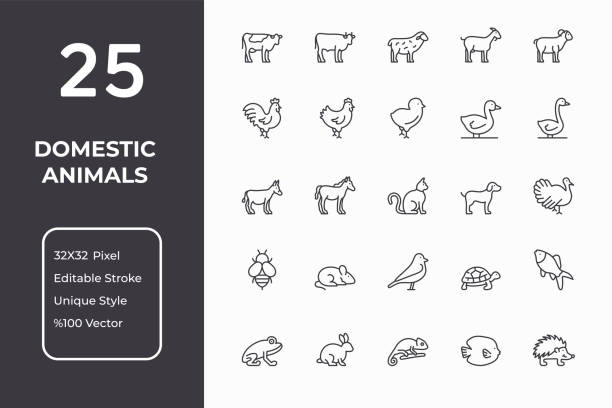 Pets Line Icons Domestic Animals Editable Stroke Line Icons. Perfect Pixel, 32x32 pixel grid, customizable colors unique style vector icons. animal themes stock illustrations