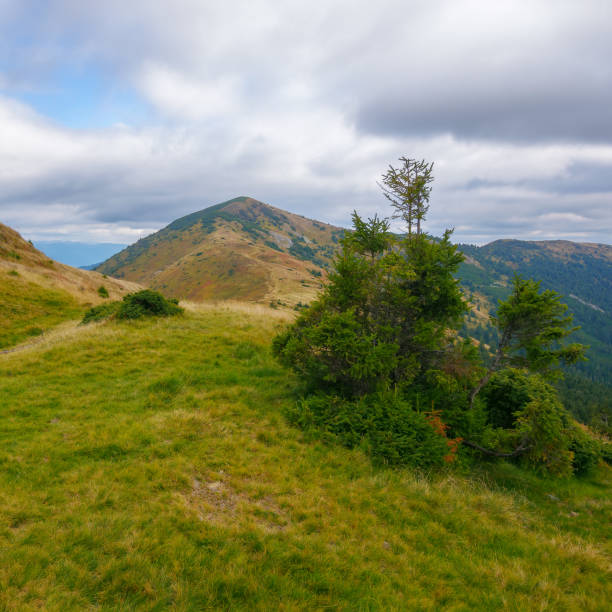 istock carpathian mountain landscape in autumn 1405016206