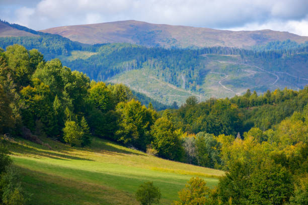 istock mountain landscape in early autumn 1405016314
