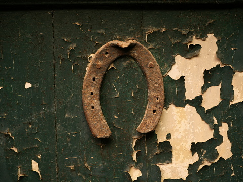 old door with horseshoe