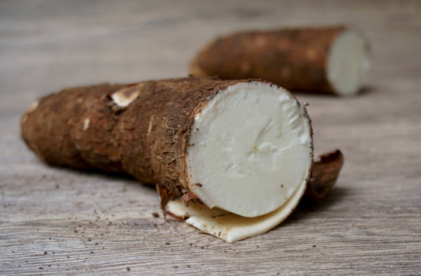 istock cassava tubers 1405021314
