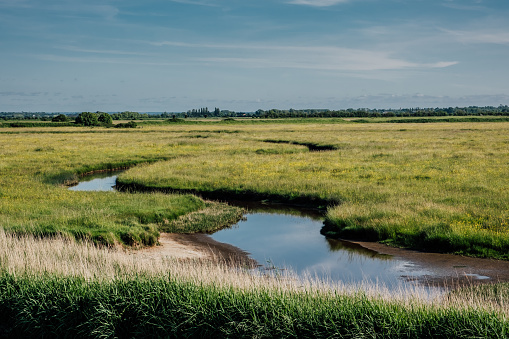 Beautiful landscape of marsh in Normandy in France with snaking river