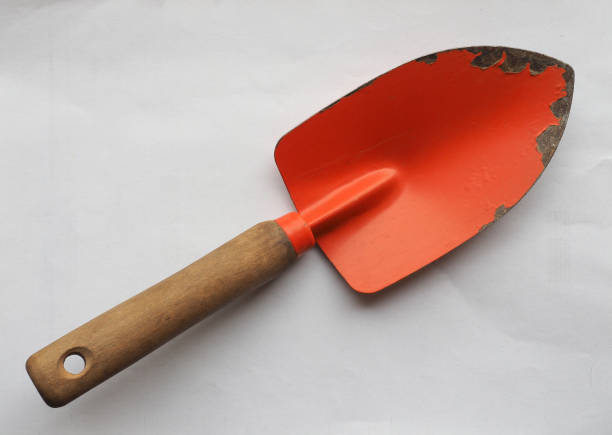 istock garden spade over off white background 1405024445