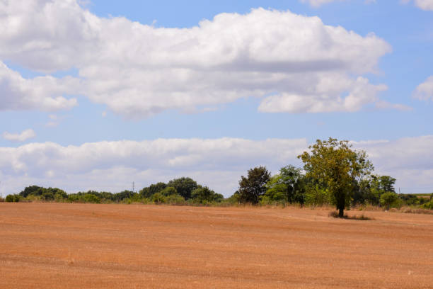 istock European natural countryside 1405029886
