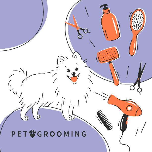 Grooming 15 Pet care salon. Pet grooming. Cartoon dog character with different tools for animal hair grooming, haircuts, bathing, hygiene. Pet care salon concept. pomeranian dog taking a bath stock illustrations