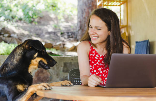 istock Young woman smiling and looking at her big dog while using laptop on terrace. 1405037350