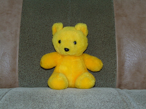 plush bear on a sofa