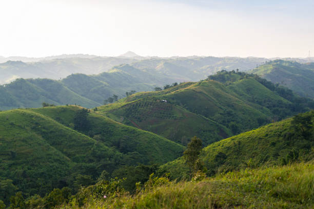 istock Mountain in the morning, fresh air, Covered with green fields. 1405043823