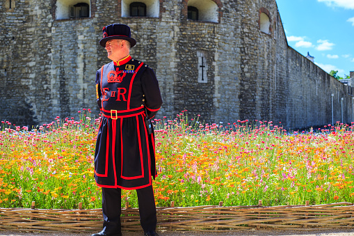 Beefeater, Tower o London, June 2022.  A Yeoman of the Guard standing infront of the Tower of London, with the wild meadow Moat in the background.  It has been planted with 20 million seeds to promote wildlife