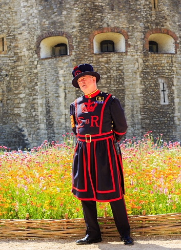 Tower of London, June 2022.  20 million wild flower seeds have been planted in the Moat to encourage more insects and bees, while a Beefeater Guard in full uniform stands keeping watch.