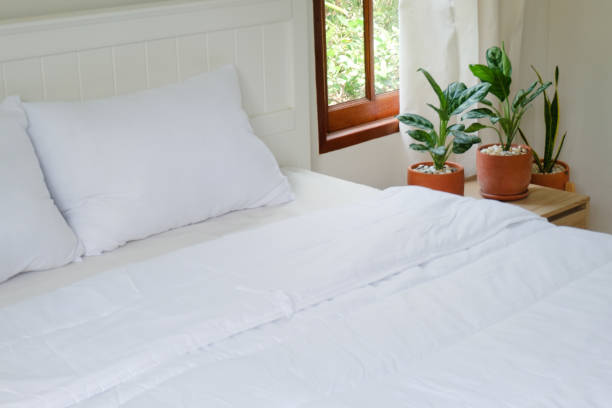 istock Minimal bedroom with wooden floor, white bed and plants 1405051596