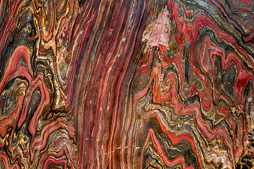 The colorful pattern of a cut and polished tiger rice in a close-up