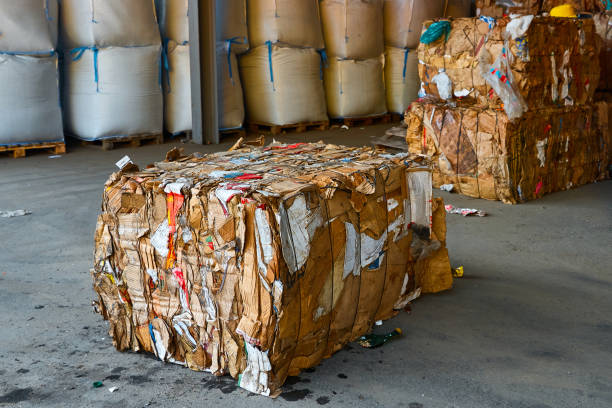 istock Block of pressed cardboard boxes in litter processing plant 1405051784