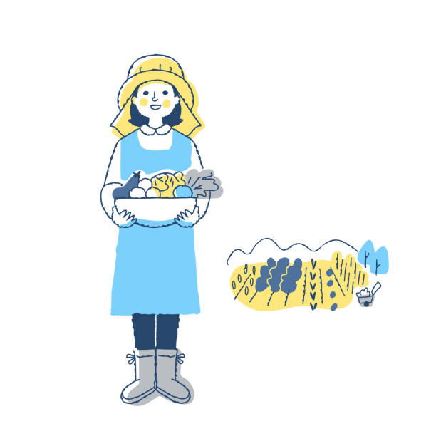 ilustraciones, imágenes clip art, dibujos animados e iconos de stock de mujer agricultora de hortalizas y campo - plowed field field fruit vegetable