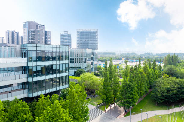 drzewa przy drodze na tle budynków w mieście - office buildings zdjęcia i obrazy z banku zdjęć