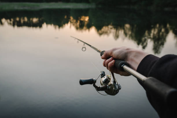 homme attrapant du poisson, tirant la canne tout en pêchant depuis un lac ou un étang. pêcheur à la canne, moulinet sur un bateau. lever du soleil. pêche au brochet et à la perche. arrière-plan nature sauvage. - lure loc photos et images de collection