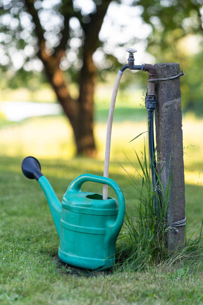 istock Watering can placed in the garden 1405057019