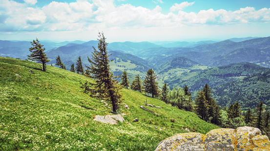 Wonderful view from Belchen hill mountain, surrounded by green fresh meadow and forest trees - Landscape Southern Black Forest Aitern Germany background panorama