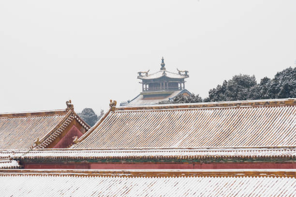 The Forbidden City with Snow - Beijing, China