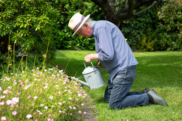 istock Senior man watering the garden 1405065706