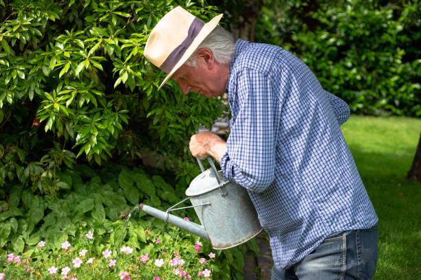 istock Senior man watering the garden 1405065707
