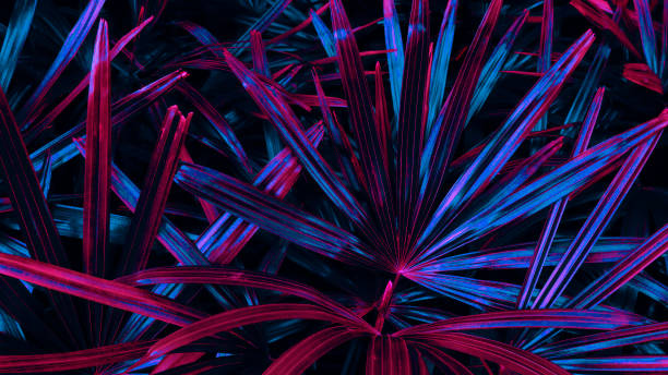 istock neon color of tropical leaf 1405067113