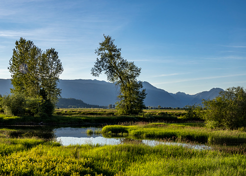 Beautiful sunset view from Trans-Canada trail along Alouette River (section between Pitt Meadows and Maple Ridge)