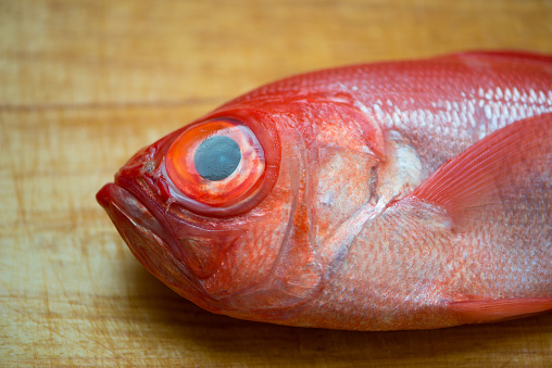 Head of a tuna fish seen in the Nishiki Market in Kyoto, Japan