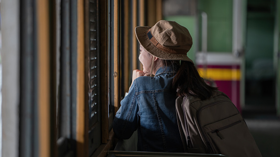 Rear view of young woman looking through window while traveling in train