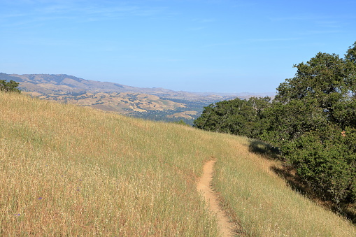 The singletrack trail offers views of Mt Diablo and Diablo Valley