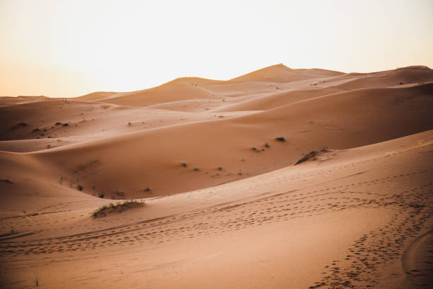 istock Atardecer en el desierto 1405075618