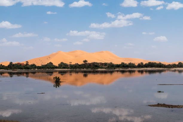 istock Lake near the desert 1405075635