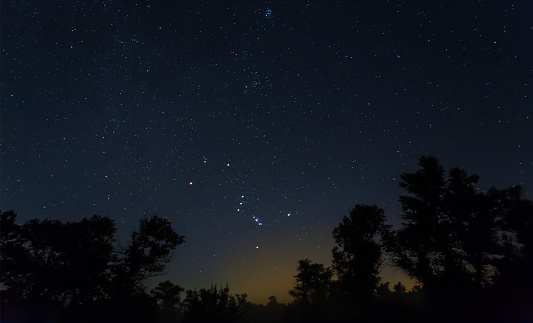 Orion constellation on starry sky above dark forest silhouette