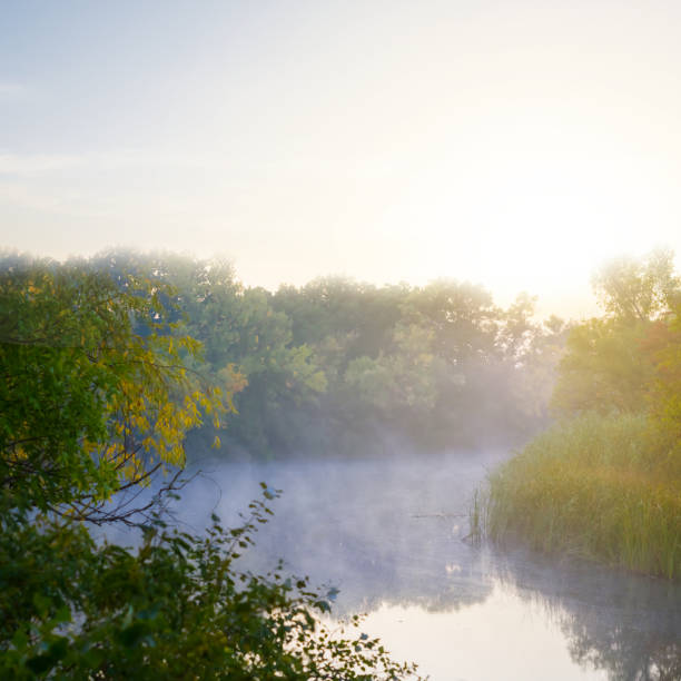 quiet summer river in mist at the early morning