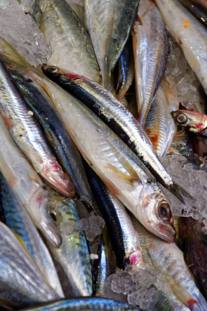 istock Fish on Bologna market 1405078669