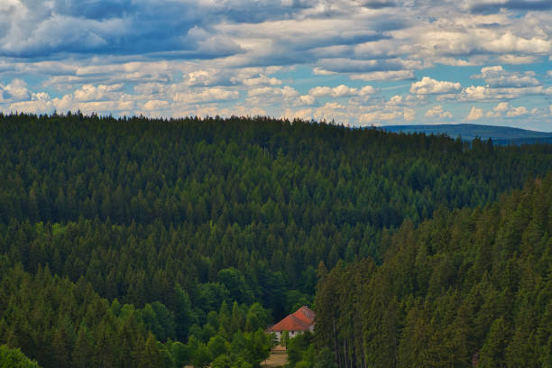 at the Schmalwasser dam in Thuringia