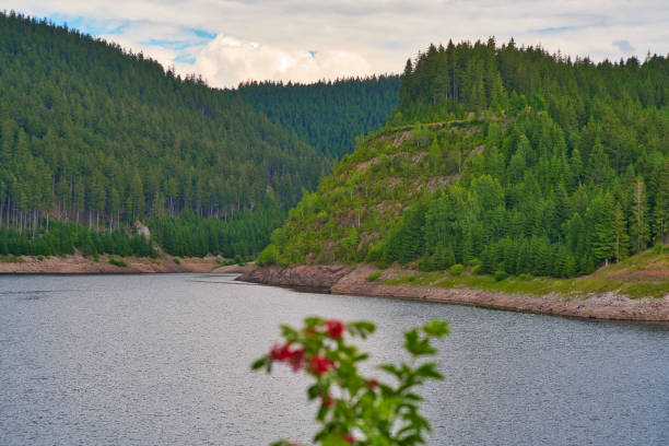 istock at the Schmalwasser dam in Thuringia 1405082268